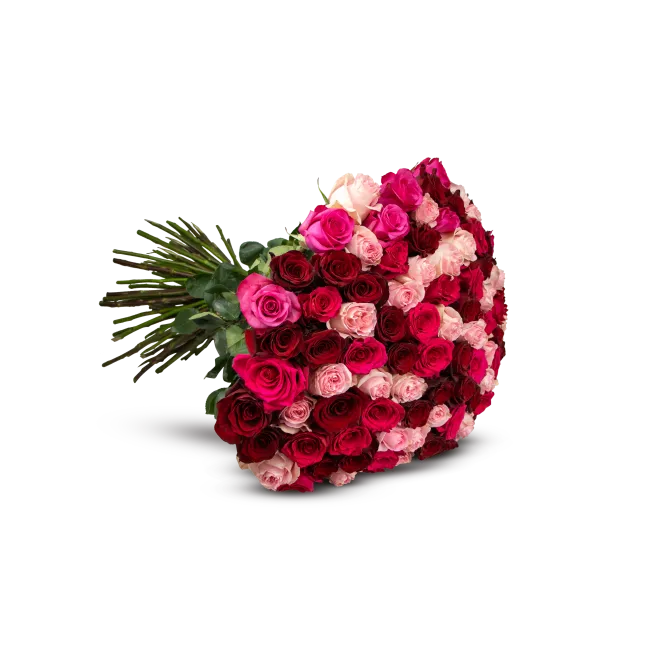 kytice ekvádorských růží 80 cm